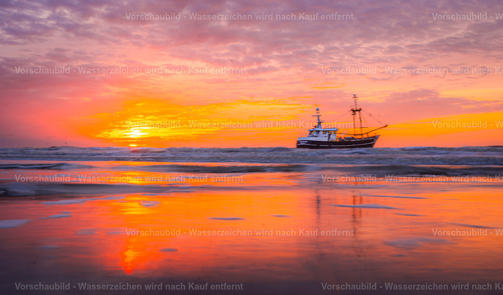 DSC05323 | marcuslinek