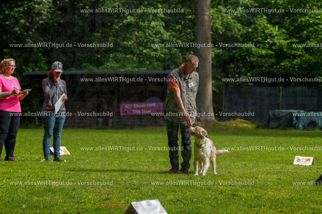 @allesWIRTHgut_Tierfotografie - www.allesWIRTHgut.de - 7R502819 | Professionelle Tierfotografie in Mönchengladbach von Daniel Wirth (allesWIRTHgut). Liebevolle & natürliche Bilder von Hunden & Katzen für unvergessliche Erinnerungen.