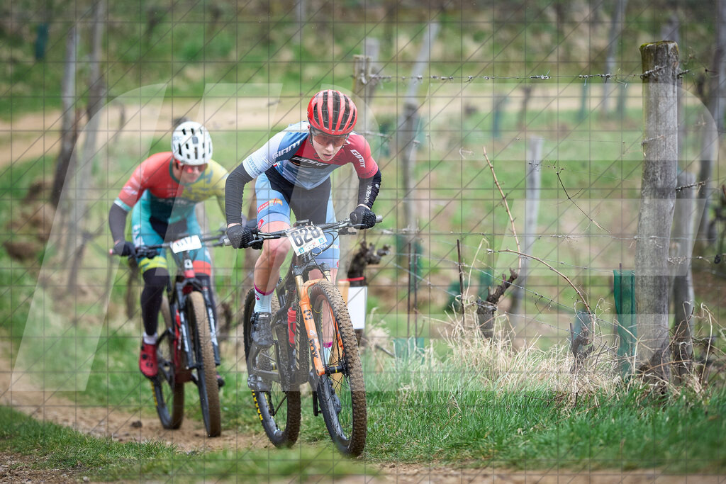 34. KTM Kamptal Trophy  | ZÖBING, Österreich – 2026-03-29: 34. KTM Kamptal TrophyFoto: © 2026 Martin Bihounek - MB Creative e.U.