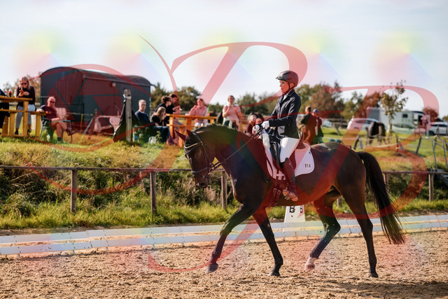 2026_10_03_Siefer-Hof_133622_Z63_96963910 | Professionelle Reitsport-, Turnier- und Eventfotografie von Robert Broda. Galerien mit ausgewählten und bearbeiteten Bildern direkt online ansehen und bestellen.