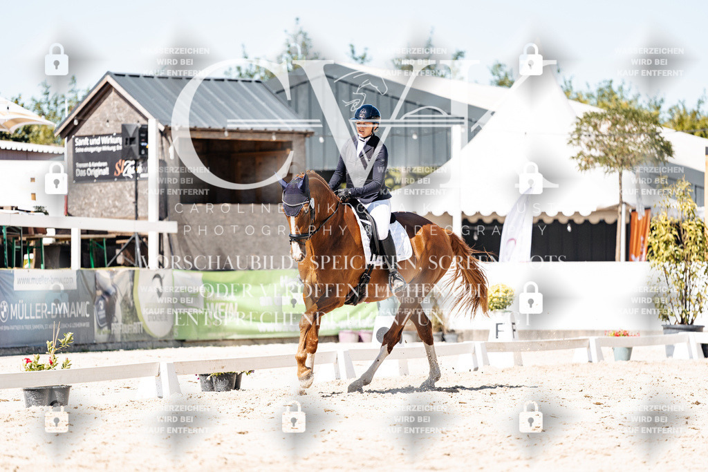 CK900056 | Turnierfotografie Pferdefotografie Trier Rheinland-Pfalz Pferdesport Reitsport Tierfotografie Sportfotografie Pferdevideo Pferdevideografie Equestrianvideography equestrianphotography  - Realisiert mit Pictrs.com