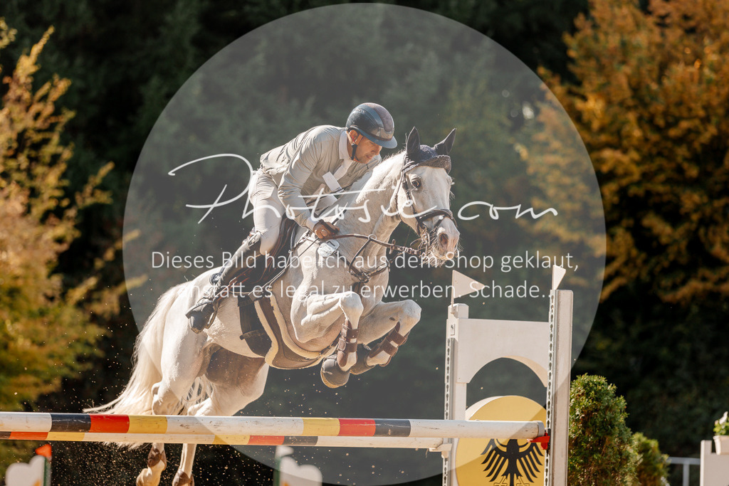 3I6A4651 | Stimmungsvolle Portraits und Reitsportfotografie im Ruhrgebiet und im Münsterland.

Pferdefotografie, Hundefotografie, Tierfotografie, Reportagen, Portraits von Tier und Mensch, Turnierfotografie in Bochum, Recklinghausen, Marl, Haltern am See, Dülmen.. - Realisiert mit Pictrs.com