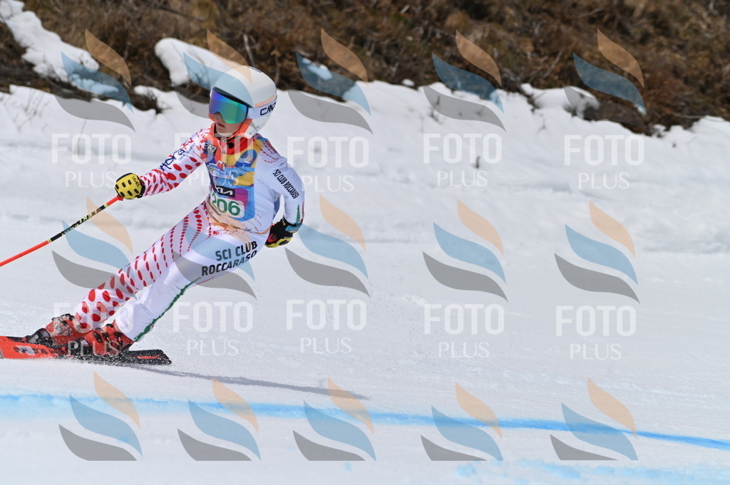 BGV_3989 | holidayphoto