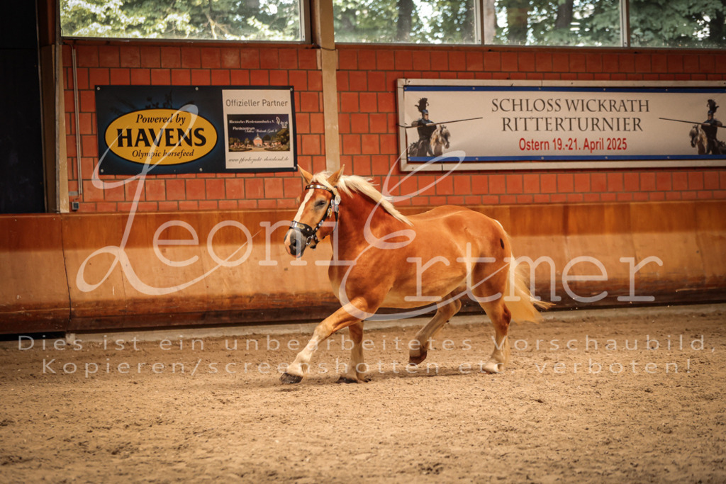 SaFL00229 | Leoni Ertmer Photography - Realisiert mit Pictrs.com
