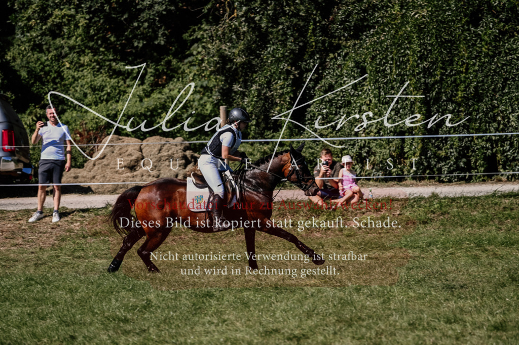 DSC_1514 | Pferde- und Turnierfotografie in Westsachsen. Pferdeportraits, Auftragszeichnungen und intuitive Kunst.