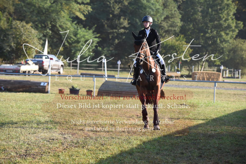 DSC_4822 | Pferde- und Turnierfotografie in Westsachsen. Pferdeportraits, Auftragszeichnungen und intuitive Kunst.