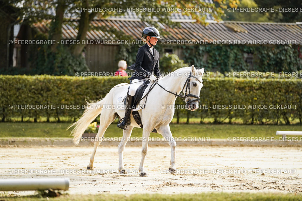 DSC05499 | Pferdegrafie