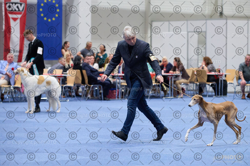 202406_ÖKV-IHA-Tulln24_DSC_3245 | proPHOTO - Realisiert mit Pictrs.com