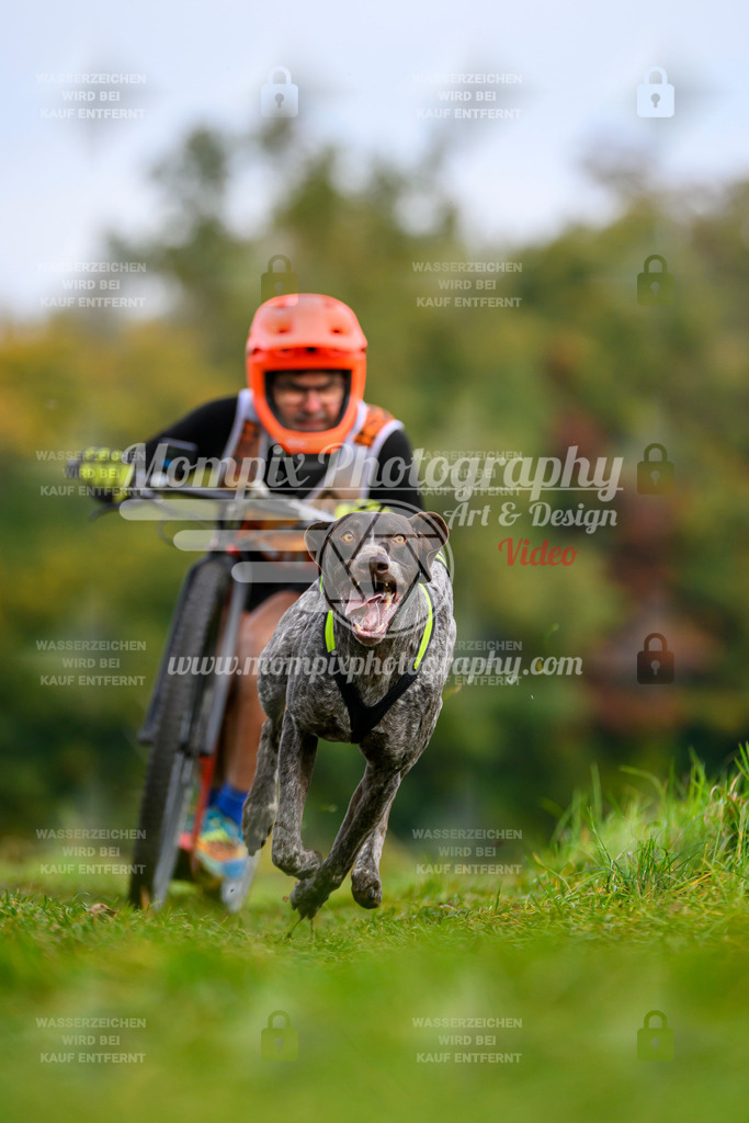 MompixPhotography_CDLBDB2025_DI_DS-44 | PayLife