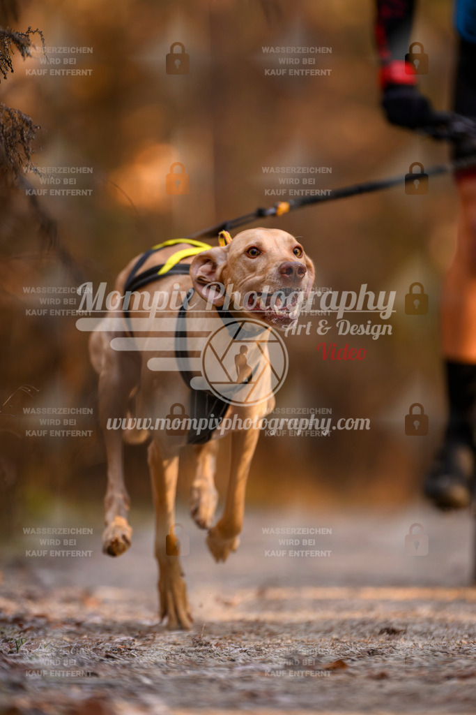 MompixPhotography_DM_AKDM_SO_2025_Bike-15 | PayLife