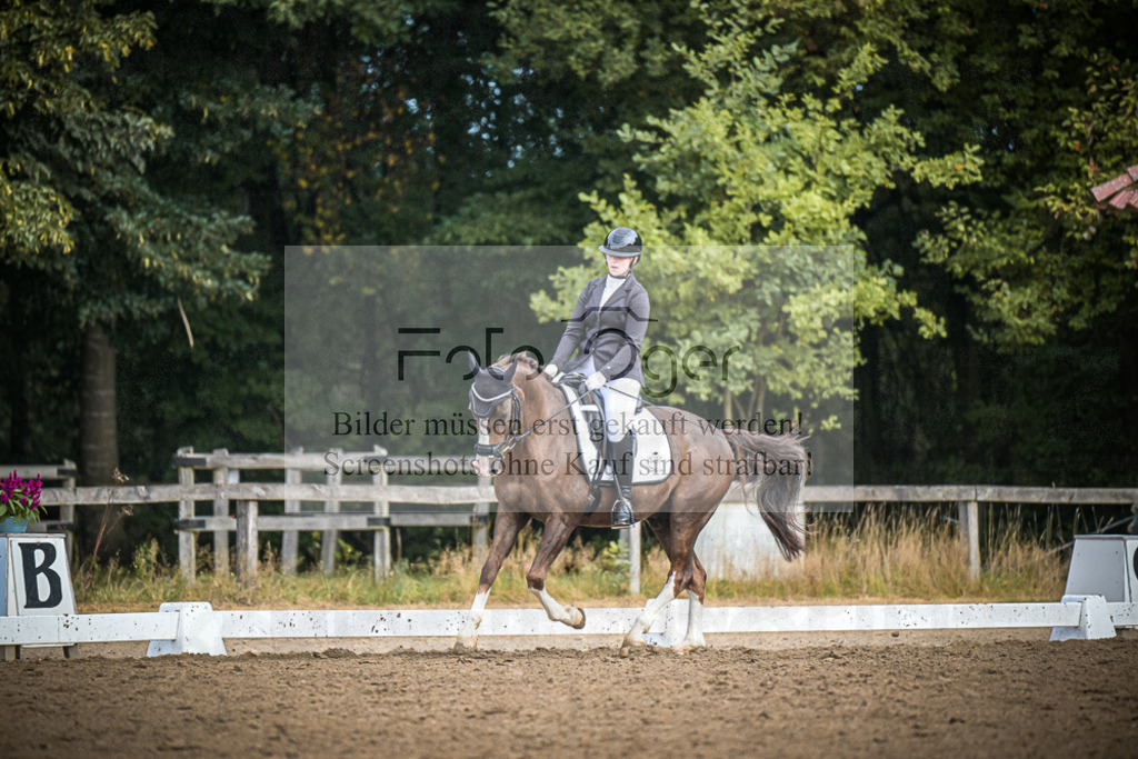 DOS_1990 | Entdecke hochwertige Reitturnierfotos von Foto Oger. Professionell, emotional und authentisch – jetzt Lieblingsmomente im Shop bestellen.Deutschlandweite Turnierfotografie. - Realisiert mit Pictrs.com