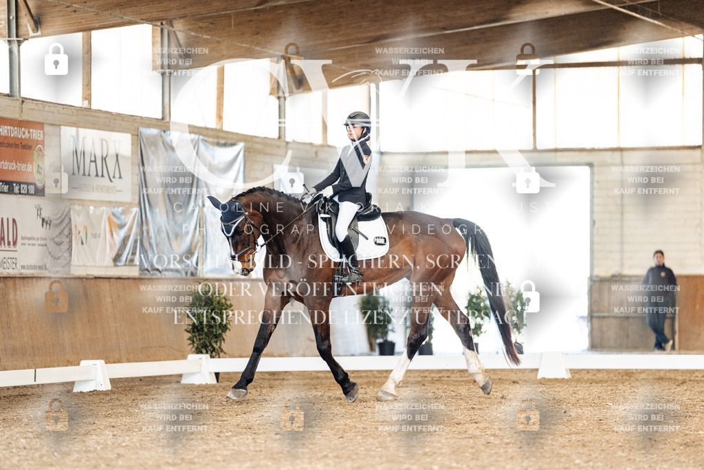 CK901178 | Turnierfotografie Pferdefotografie Trier Rheinland-Pfalz Pferdesport Reitsport Tierfotografie Sportfotografie Pferdevideo Pferdevideografie Equestrianvideography equestrianphotography  - Realisiert mit Pictrs.com