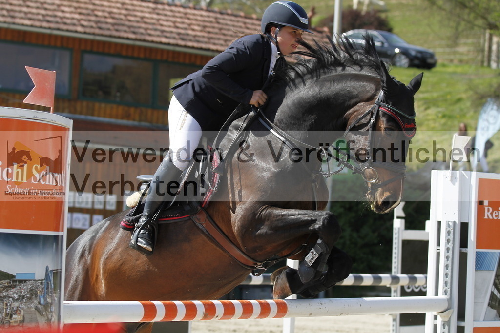 _MG_9594 | equestrian-live-com