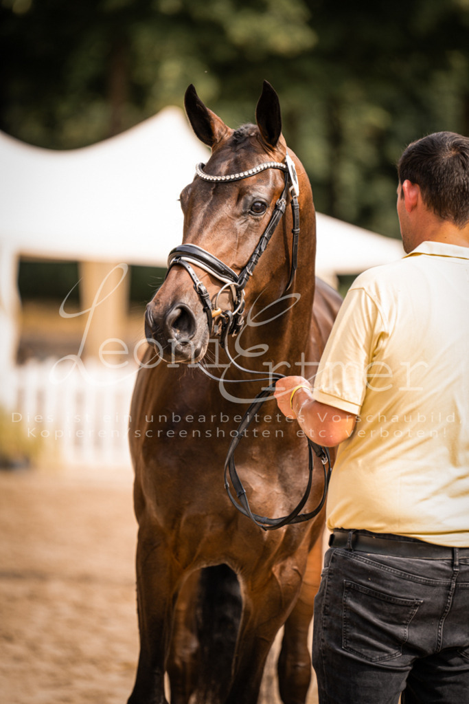 7.Fr00103 | Leoni Ertmer Photography - Realisiert mit Pictrs.com