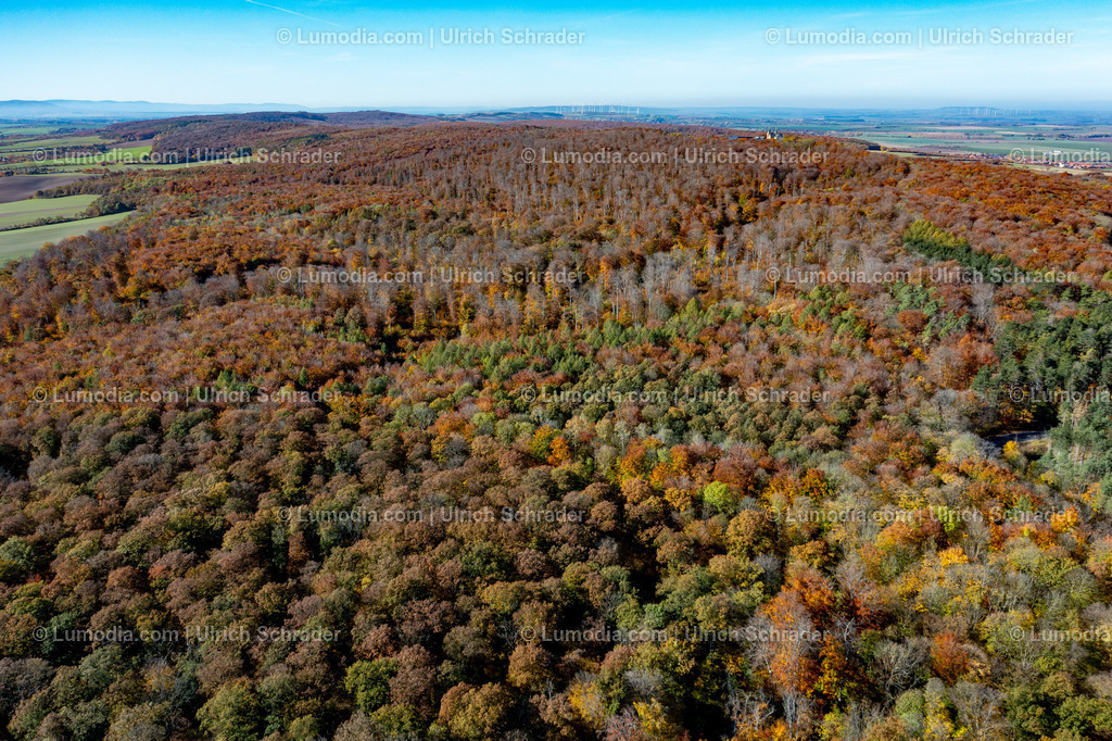 10049-51509 - Herbst im Huy bei Halberstadt | Stockfoto und Bilderpool mit Bildmaterial aus Deutschland, dem Harz, Halberstadt, Quedlinburg, Wernigerode und weltweit. Qualitativ hochwertige und professionelle Fotos anschauen und kaufen. - Realisiert mit Pictrs.com