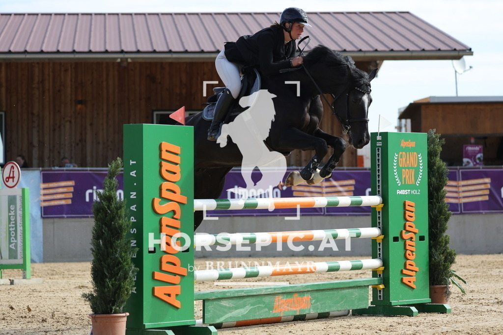 0P6A6425 | Willkommen bei Brunnmayr - Design & Fotografie – Ihrem Spezialisten für Reitturniere und Pferdeveranstaltungen in Oberösterreich, Salzburg und Bayern! Seit über 17 Jahren sind wir leidenschaftlich dabei.