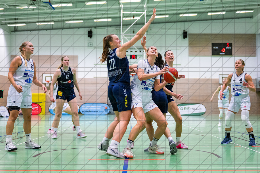 2. DBBL Nord 25/26 | Spieltag 08 | BBC Osnabrück vs. LionPride Braunschweig | 16.11.25: 2. DBBL Nord 25/26 | Spieltag 08 | BBC Osnabrück vs. LionPride Braunschweig / Osnabrück / Deutschland  //   CREDIT:www.bullenfotos.de, Martin König, Hörner Weg 40, D-49078 Osnabrück, +4917663732967 // Nutzung und Weitergabe nur zu den vereinbarten Zwecken. Presseanfragen an Ersteller. Alle Rechte beim Ersteller. Honorierung nach MFM. - Realisiert mit Pictrs.com