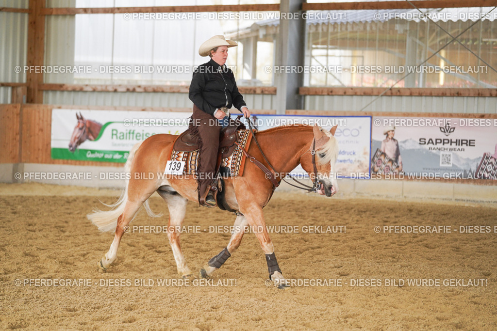 DSC01740 | Pferdegrafie