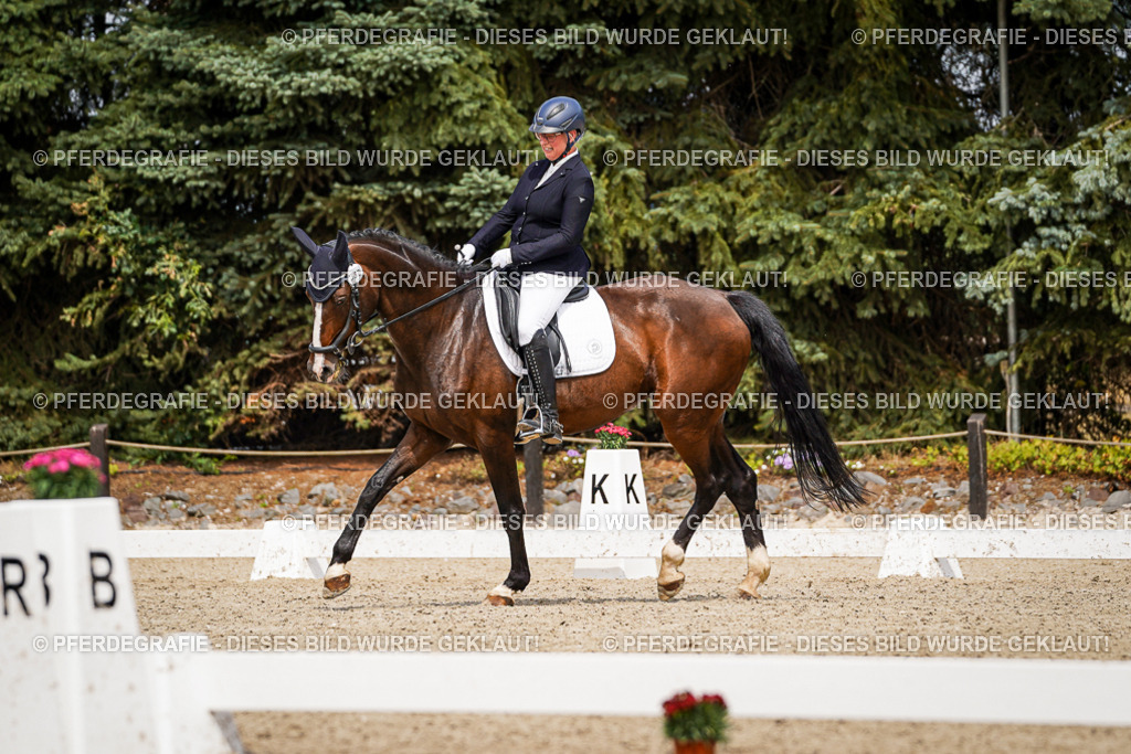 DSC03654 | Pferdegrafie