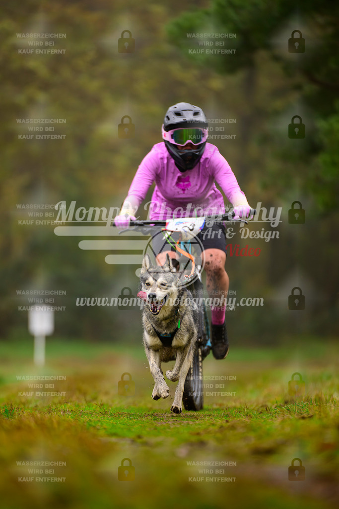 MompixPhotography_Bischwiller2025_Bike-82 | mompixphotography