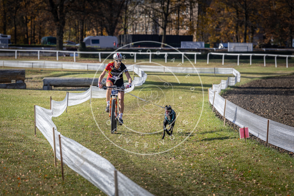 CaniXpix_DV3A7453 | Hundefotografie, Tierfotograf, Pfotenfotografie, Fotoshooting Hund, Hunde Portrait, Hundesport, Hundeportraits, Heideshooting, Hunde, Sportfotograf, Hundefotograf, Turnierhundsport, THS,  - Realisiert mit Pictrs.com