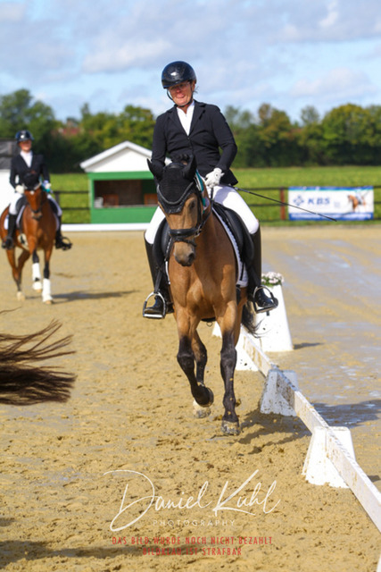 DKP43953 | Turniersportfotografie; Pferdefotografie; Dressurfotografie