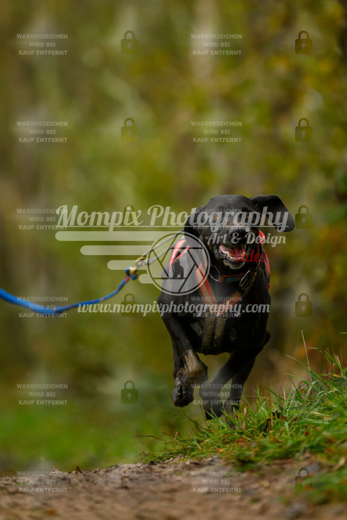 MompixPhotography_20TSB_E6_Bike-115 | PayLife