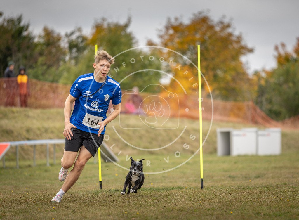Pfotenfotografie_DV3A5250 | Hundefotografie, Tierfotograf, Pfotenfotografie, Fotoshooting Hund, Hunde Portrait, Hundesport, Hundeportraits, Heideshooting, Hunde, Sportfotograf, Hundefotograf, Turnierhundsport, THS,  - Realisiert mit Pictrs.com