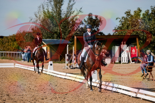 2026_10_03_Siefer-Hof_125248_Z63_60878287 | Professionelle Reitsport-, Turnier- und Eventfotografie von Robert Broda. Galerien mit ausgewählten und bearbeiteten Bildern direkt online ansehen und bestellen.