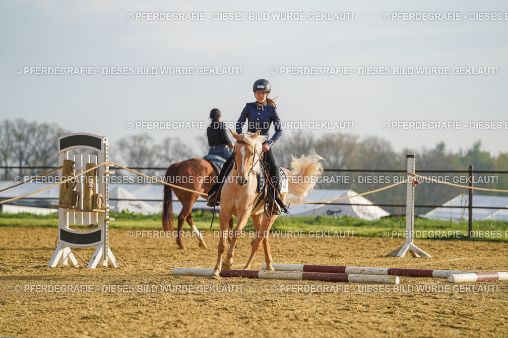 DSC00005 | Pferdegrafie