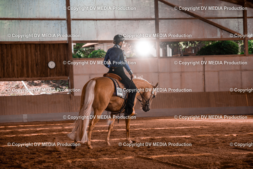 NE100440 | dv-media-shop - Realisiert mit Pictrs.com