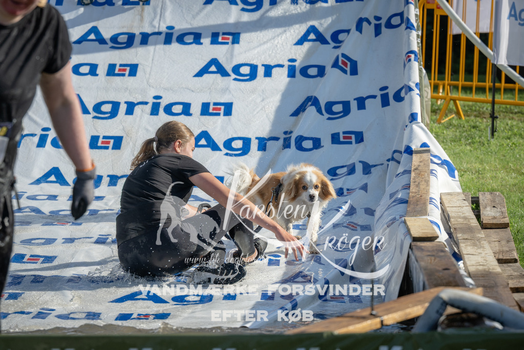 0934_ZZ96313 | kk-dogfotos