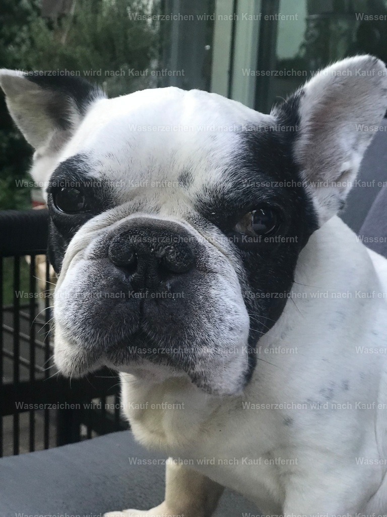 IMG_1344 | heikomoeller - Realisiert mit Pictrs.com