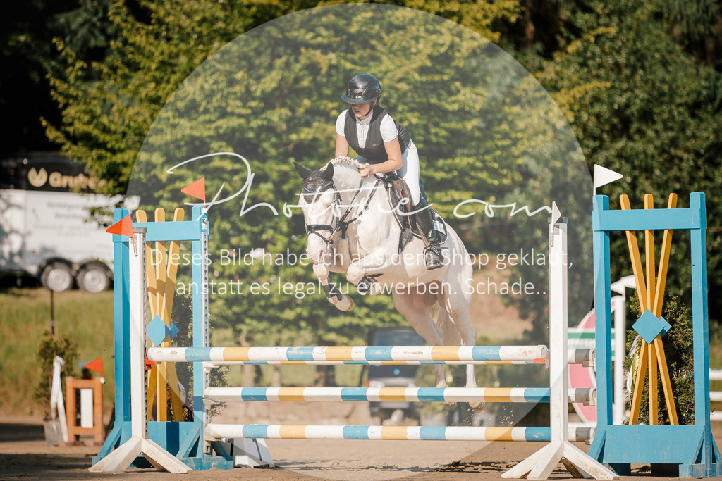 3I6A6251 | Stimmungsvolle Portraits und Reitsportfotografie im Ruhrgebiet und im Münsterland.

Pferdefotografie, Hundefotografie, Tierfotografie, Reportagen, Portraits von Tier und Mensch, Turnierfotografie in Bochum, Recklinghausen, Marl, Haltern am See, Dülmen.. - Realisiert mit Pictrs.com