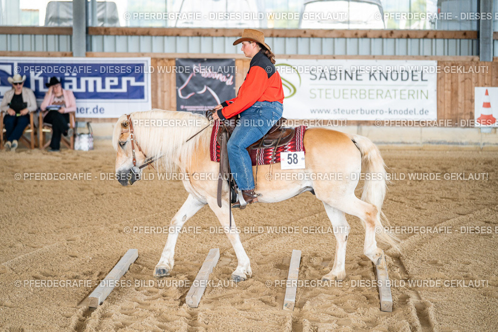 DSC02783 | Pferdegrafie