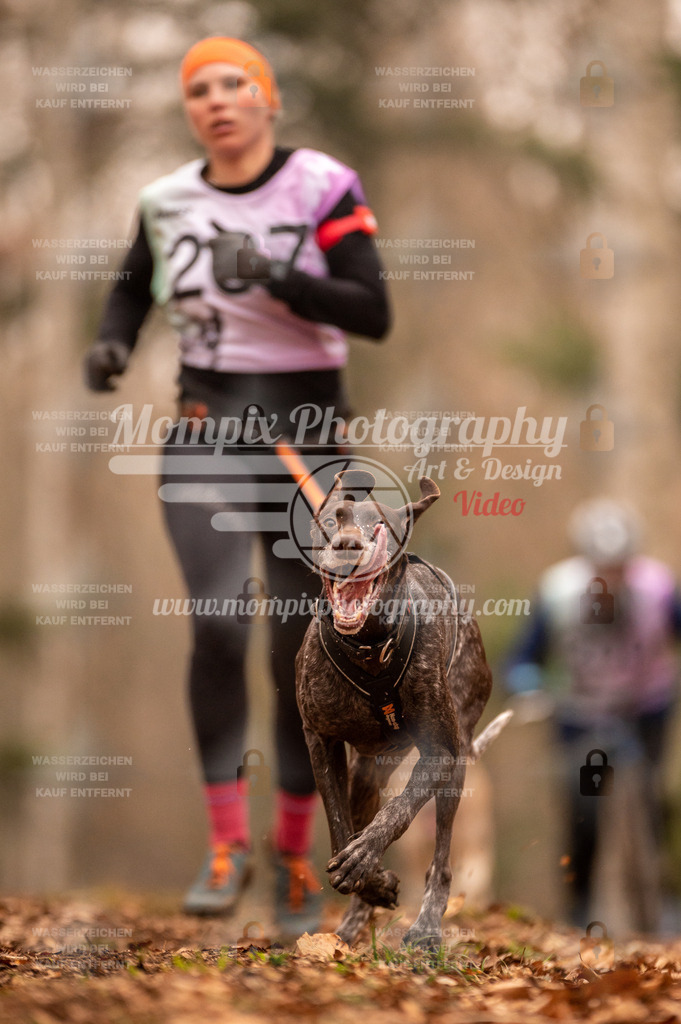 AKM_ST_2023_SAM_Run-11 | PayLife