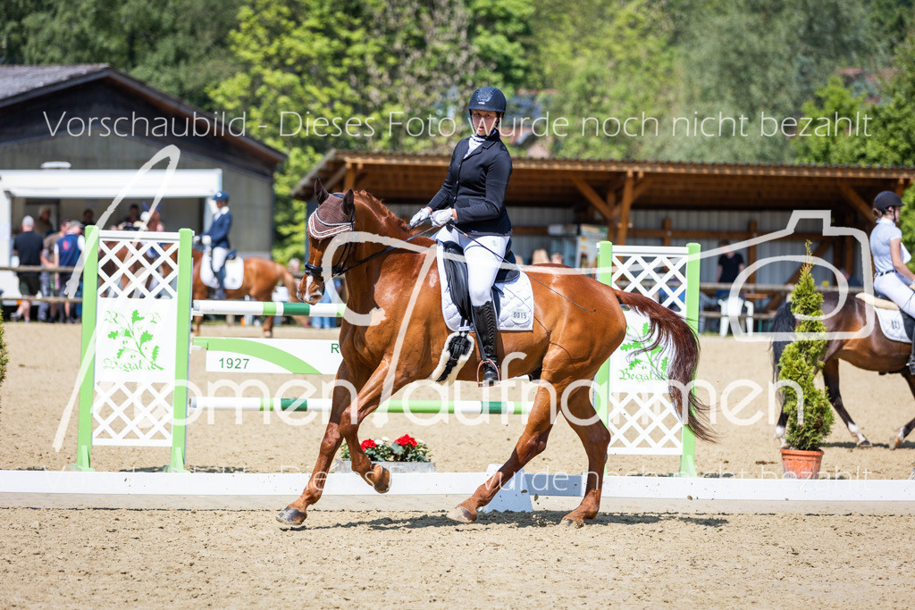 Donop24-L-Dre-067 | MomenTaufnahmen Pferdesportfotos