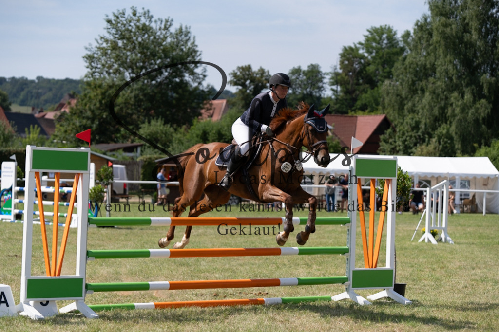 A7V01715 | Turnier/Reitfotograf