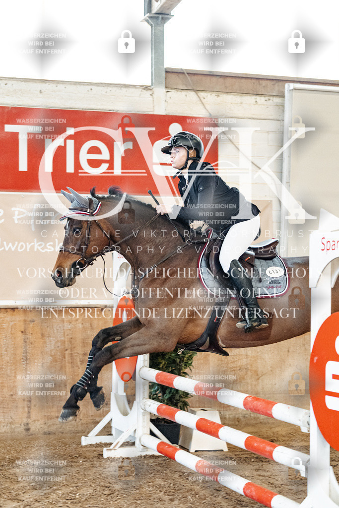 CK904376 | Turnierfotografie Pferdefotografie Trier Rheinland-Pfalz Pferdesport Reitsport Tierfotografie Sportfotografie Pferdevideo Pferdevideografie Equestrianvideography equestrianphotography  - Realisiert mit Pictrs.com