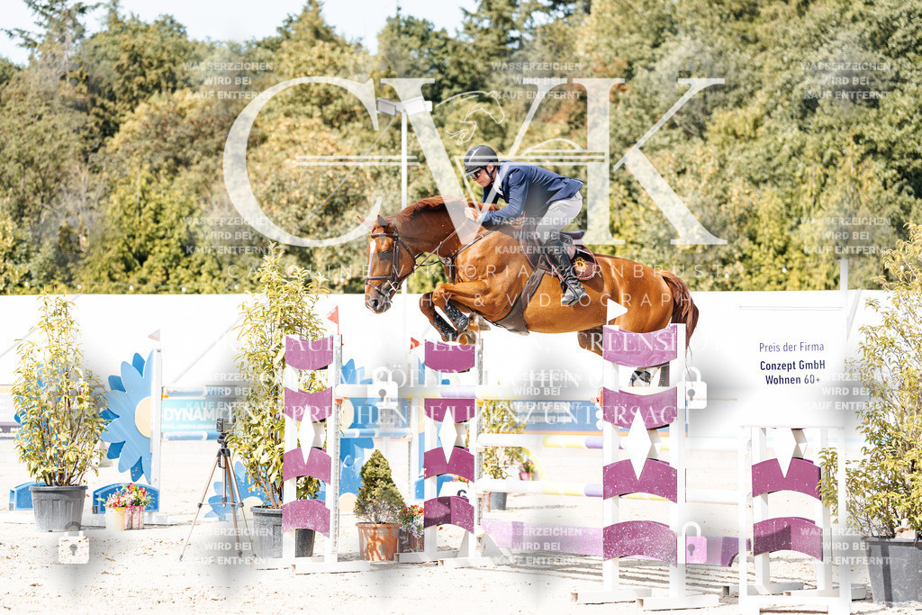 CK905339 | Turnierfotografie Pferdefotografie Trier Rheinland-Pfalz Pferdesport Reitsport Tierfotografie Sportfotografie Pferdevideo Pferdevideografie Equestrianvideography equestrianphotography  - Realisiert mit Pictrs.com