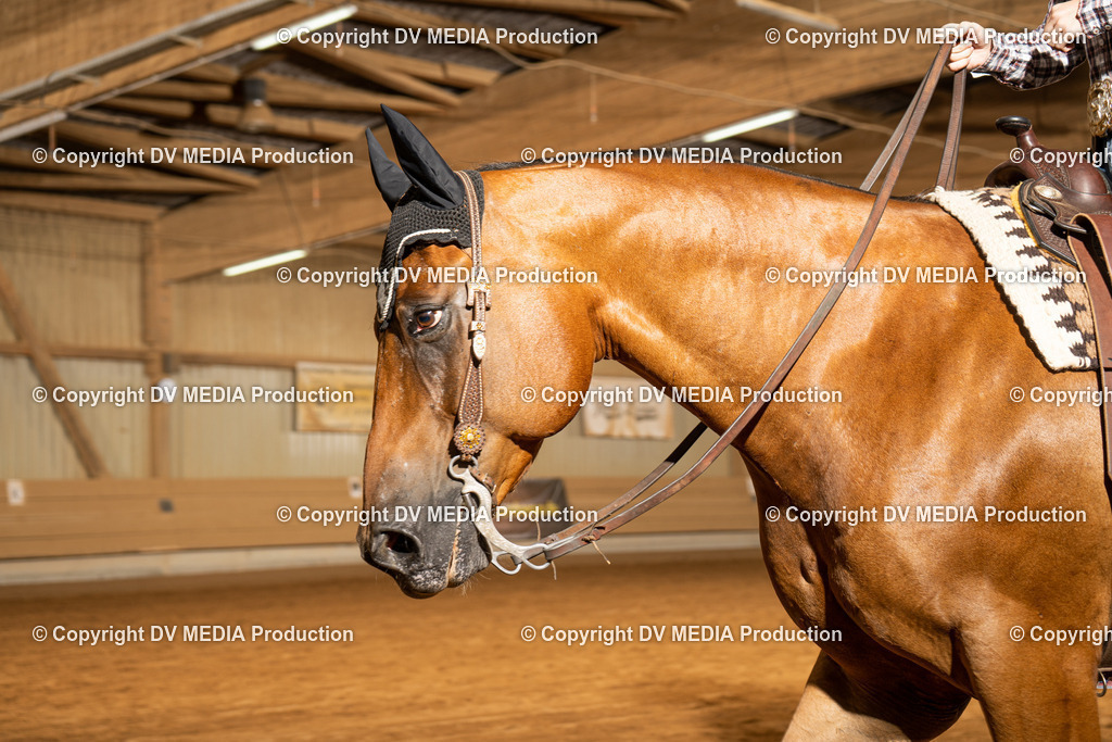 NID01496 | dv-media-shop - Realisiert mit Pictrs.com