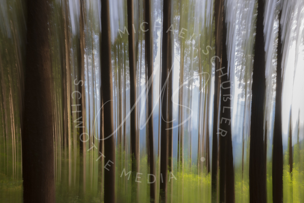 2022-07-18 Dolomiten Reinbach Wasserfall - 143 | Wald 1 - Realisiert mit Pictrs.com