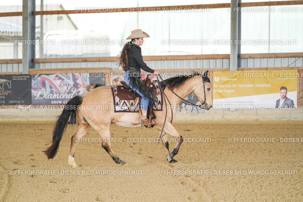 DSC02510 | Pferdegrafie