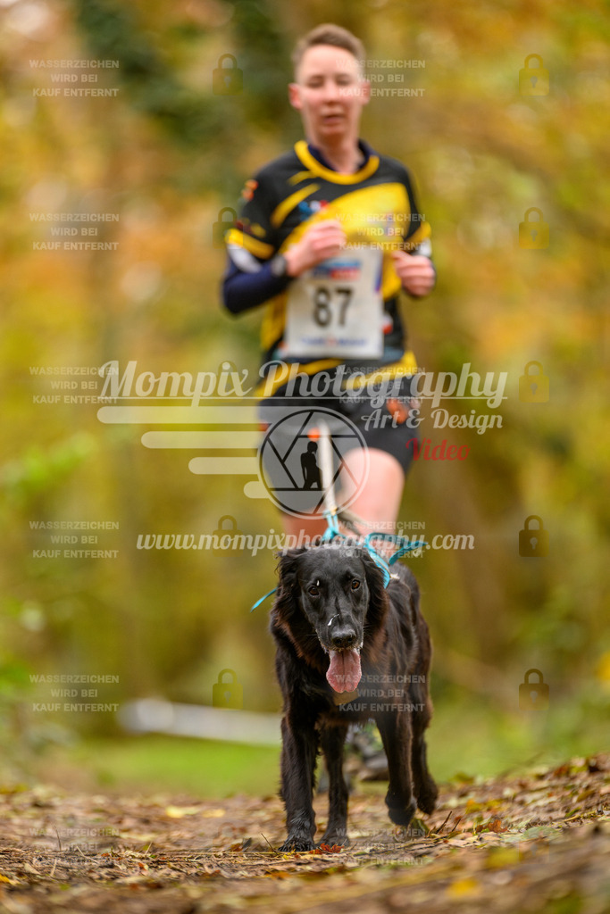 MompixPhotography_Bischwiller24_SA_Canicross-171 | mompixphotography
