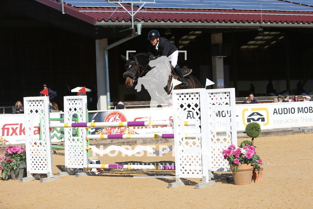 DL2Q4016 | Willkommen bei Brunnmayr - Design & Fotografie – Ihrem Spezialisten für Reitturniere und Pferdeveranstaltungen in Oberösterreich, Salzburg und Bayern! Seit über 17 Jahren sind wir leidenschaftlich dabei.