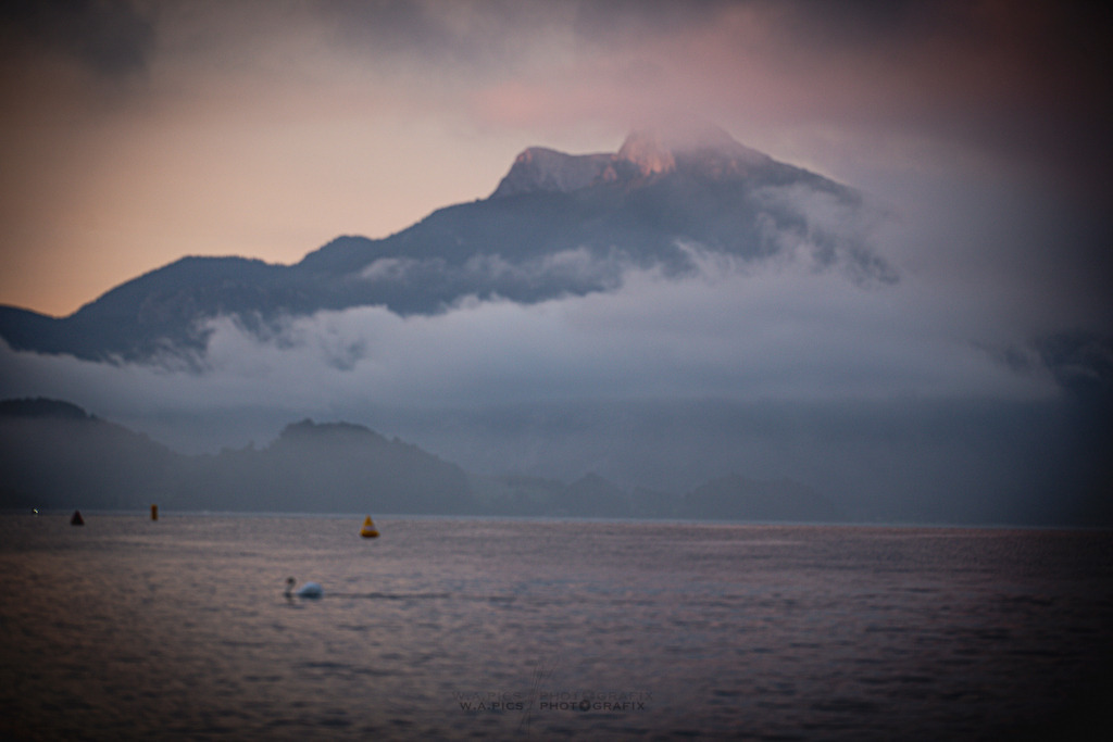 ..... | 06.09.2025, AUSTRIA, Mondsee, ALOHA TRI MONDSEE - Pastaparty , Image shows: Photo: WAPICS / Willdoner Andreas