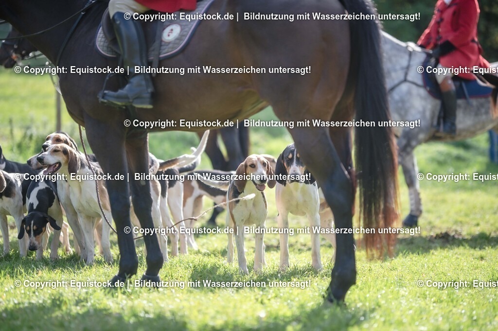 20251011_Jagd-Marbach_0149 | Foto: Thomas Hartig