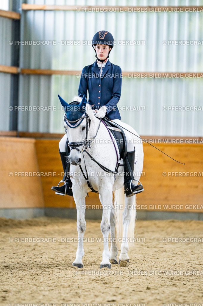 DSC04923 | Pferdegrafie