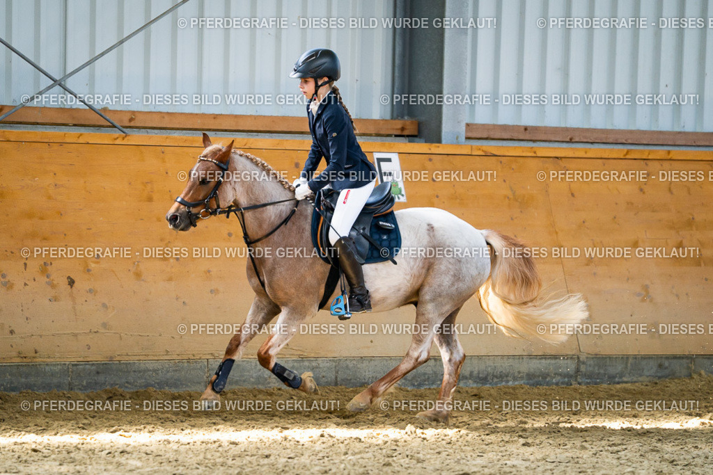 DSC02294 | Pferdegrafie