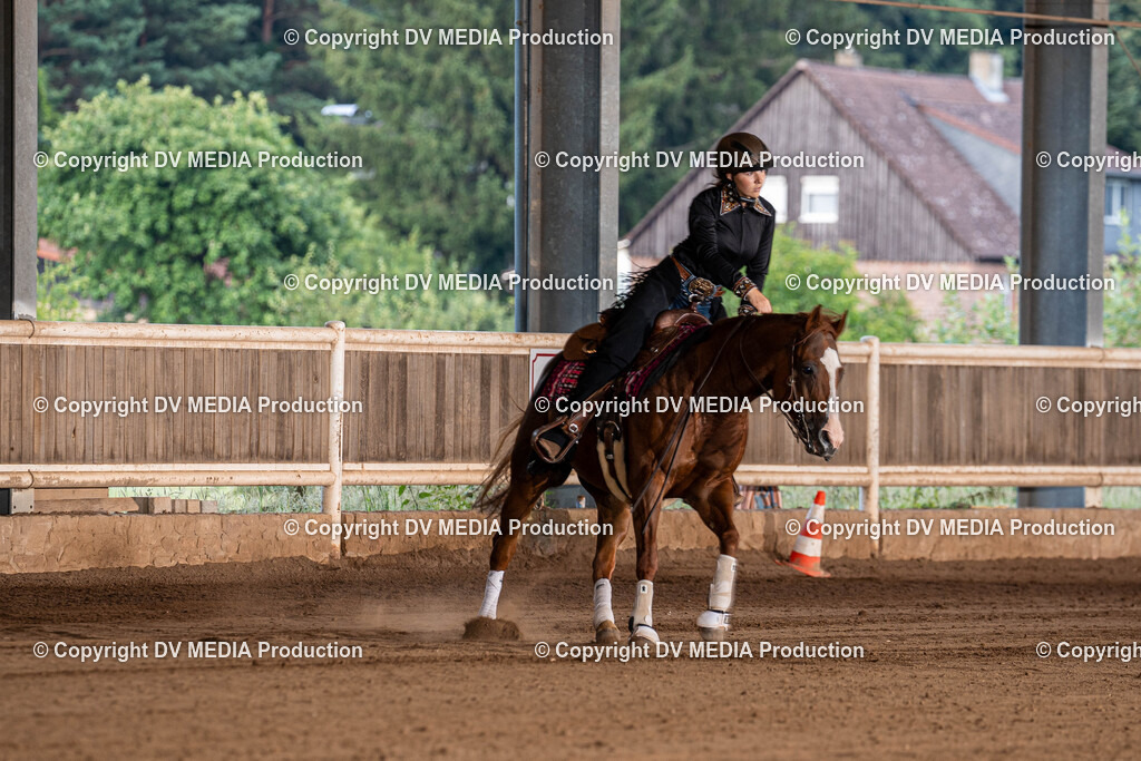 Erbach Tag 1-1236 | dv-media-shop - Realisiert mit Pictrs.com